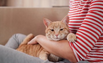 7 znanstveno dokazanih zdravstvenih prednosti vlasnika mačaka