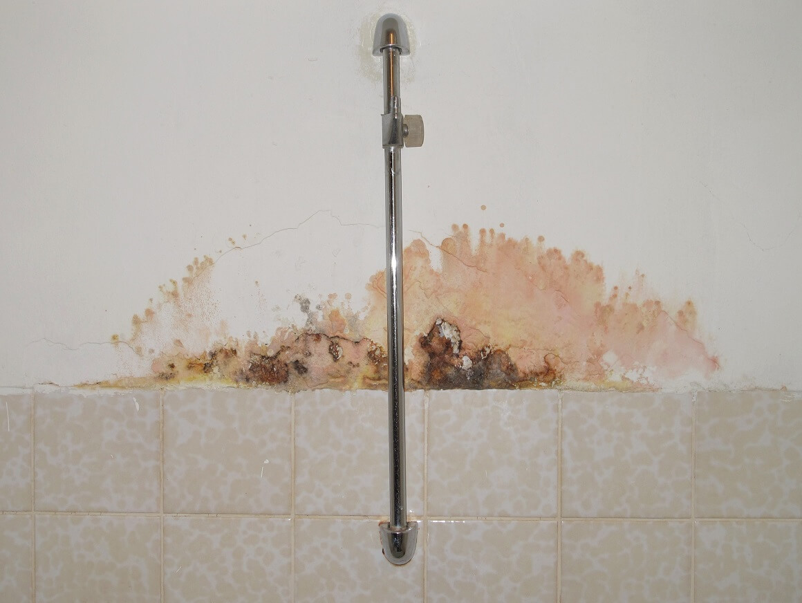 Kupaonica je prostor koji je najčešće zahvaćen gljivicama