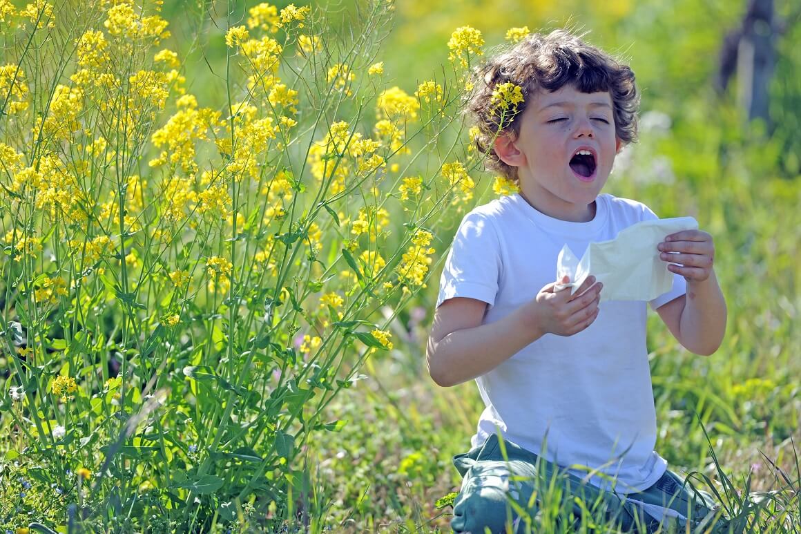 Simptomi alergije na pelud kod djece