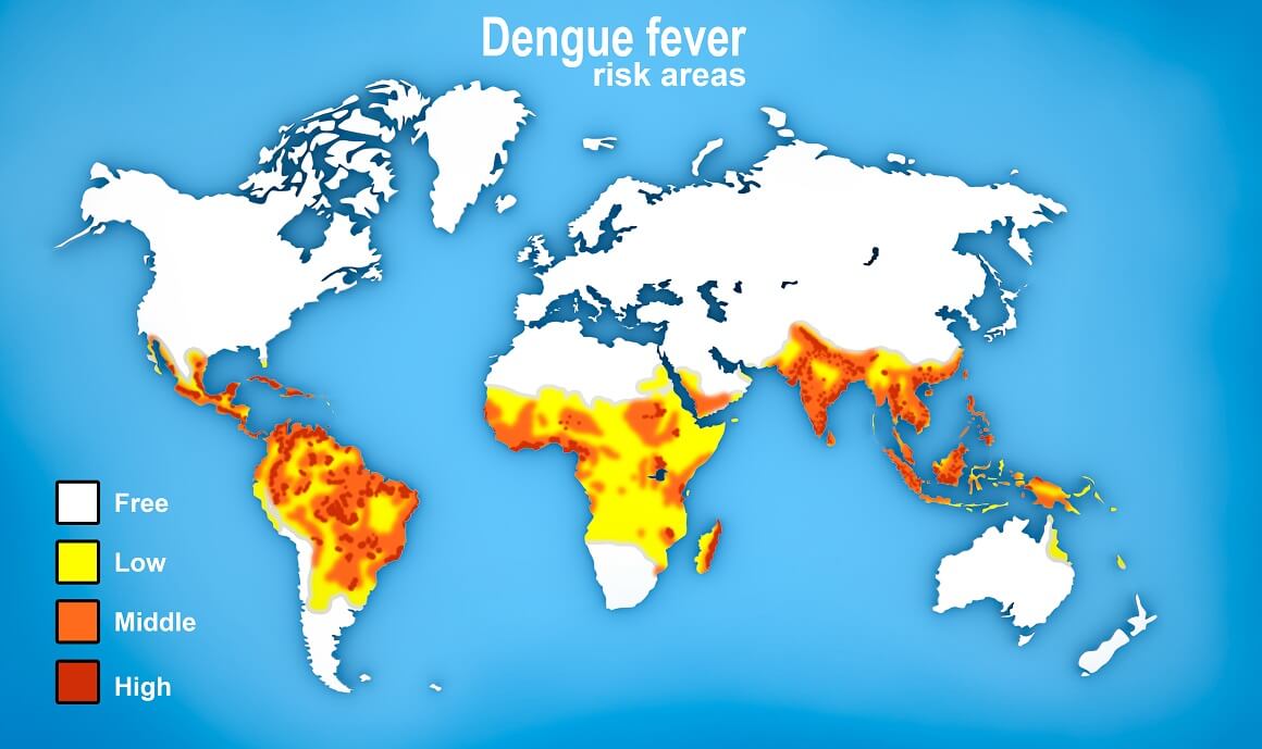 Denga može uzrokovati hemoragijsku groznicu, a zarazi oko 100 – 400 milijuna ljudi godišnje
