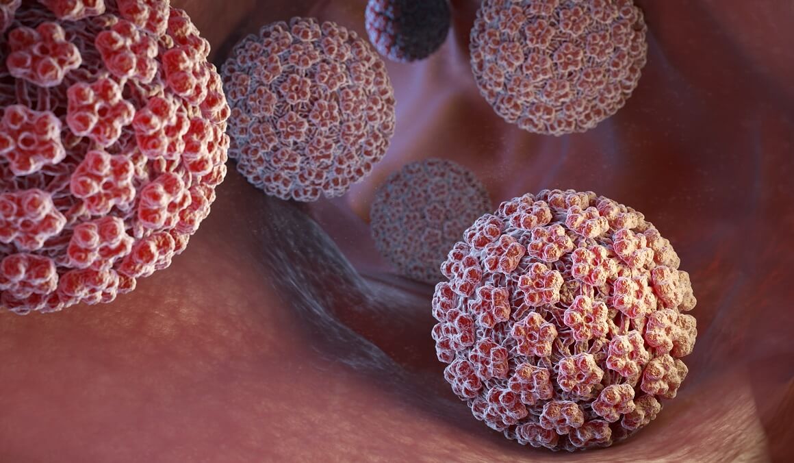 Infekcija HPV-om se lako širi između seksualnih partnera