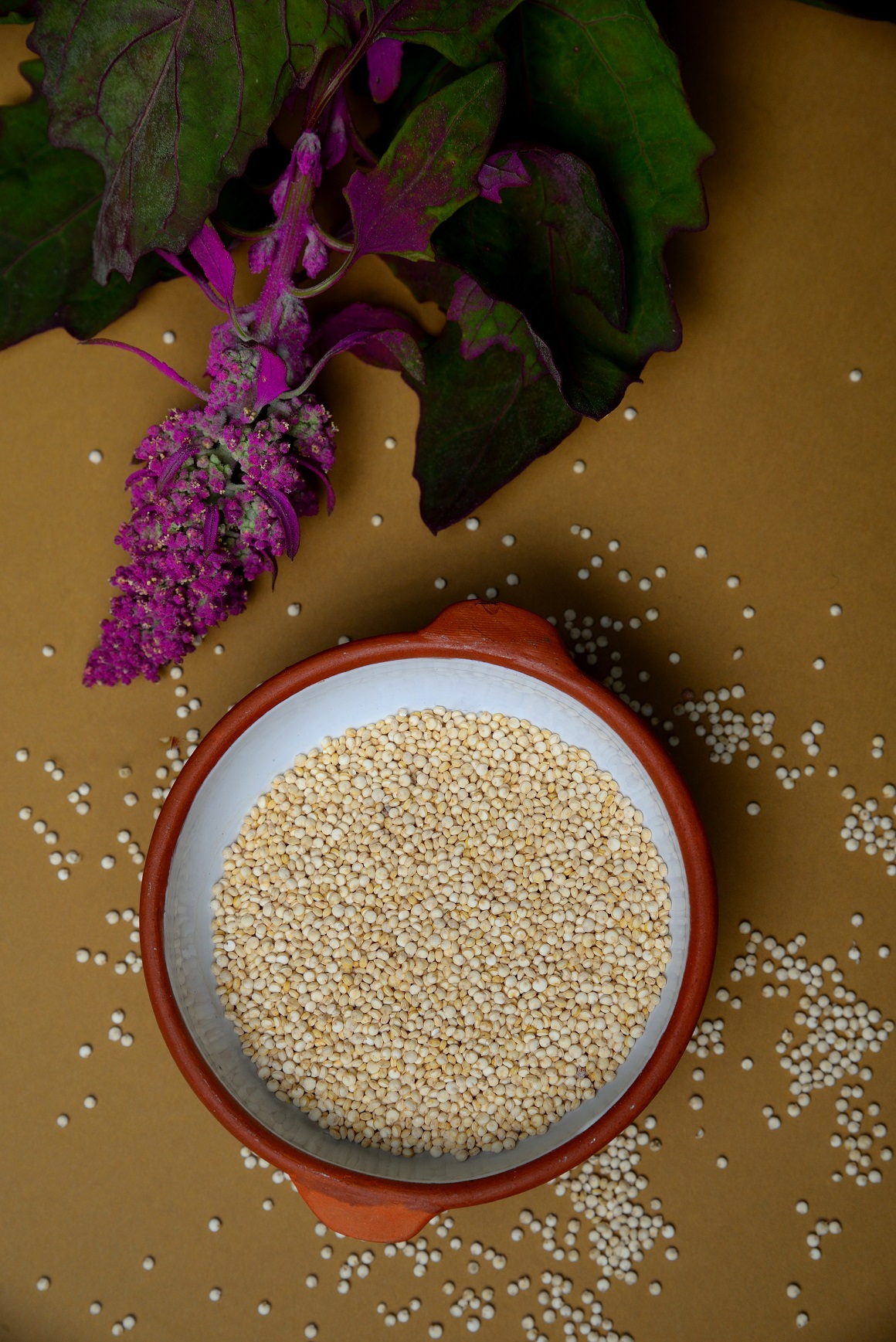 Kvinoja je pogodna za osobe koje pate od celijakije ili ne podnose gluten