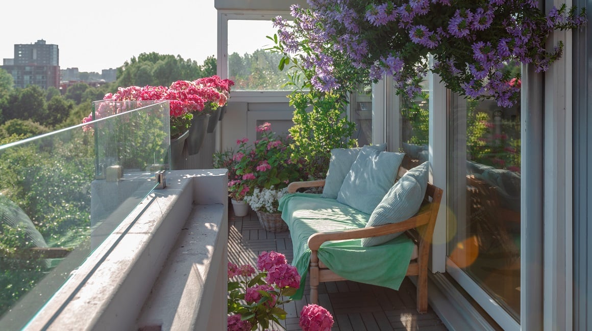 Biljke za balkon na suncu