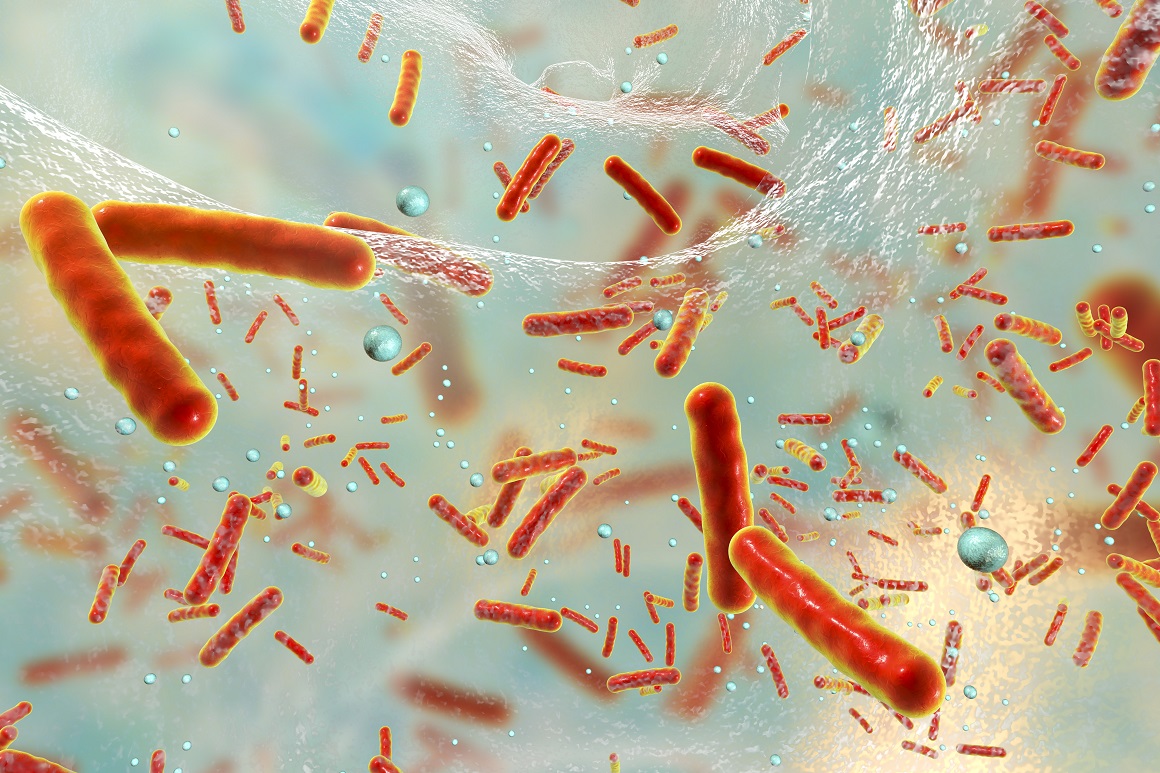 Otpornost mikroba, bakterija i gljiva na antibiotike