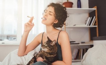 Udisanje i konzumacija marihuane kod kućnih ljubimaca mogu izazvati opasne simptome