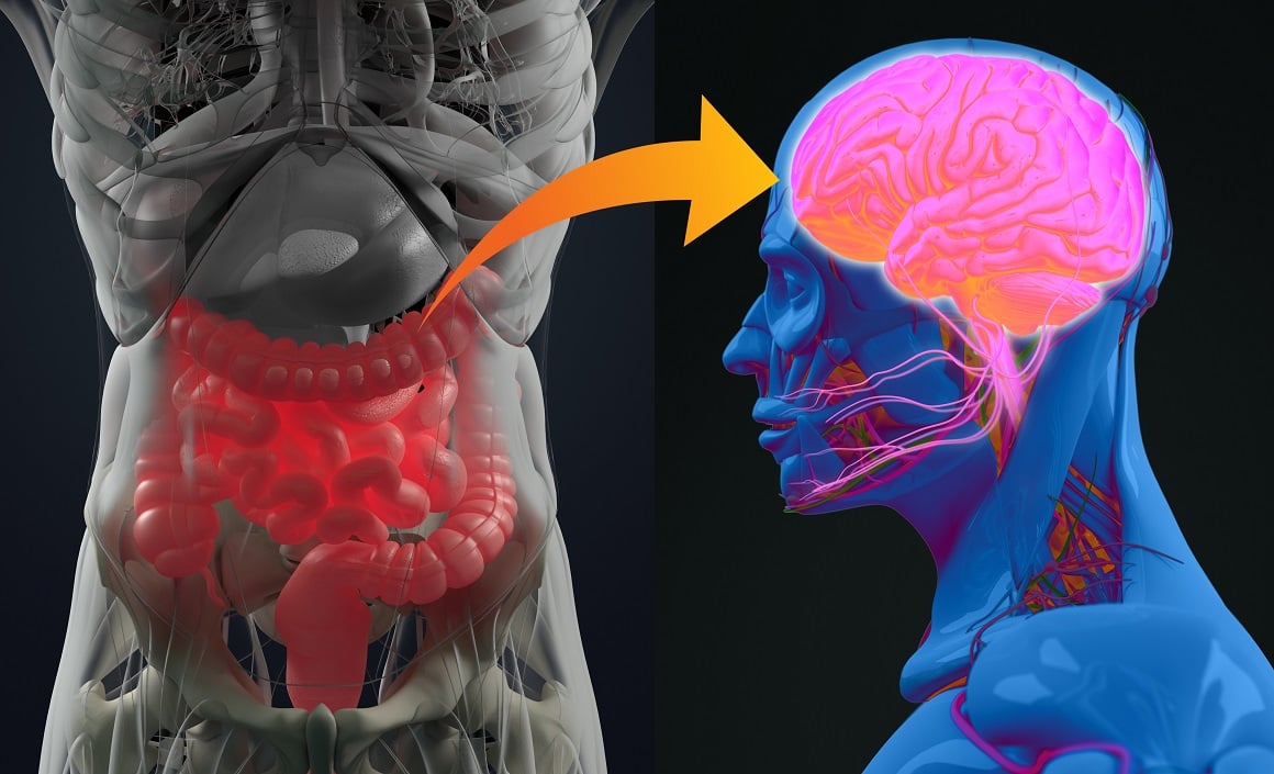 postoji neka poveznica između zdravlja crijeva i mozga