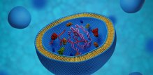 Egzosomi su privukli značajnu pozornost u suvremenim biomedicinskim istraživanjima