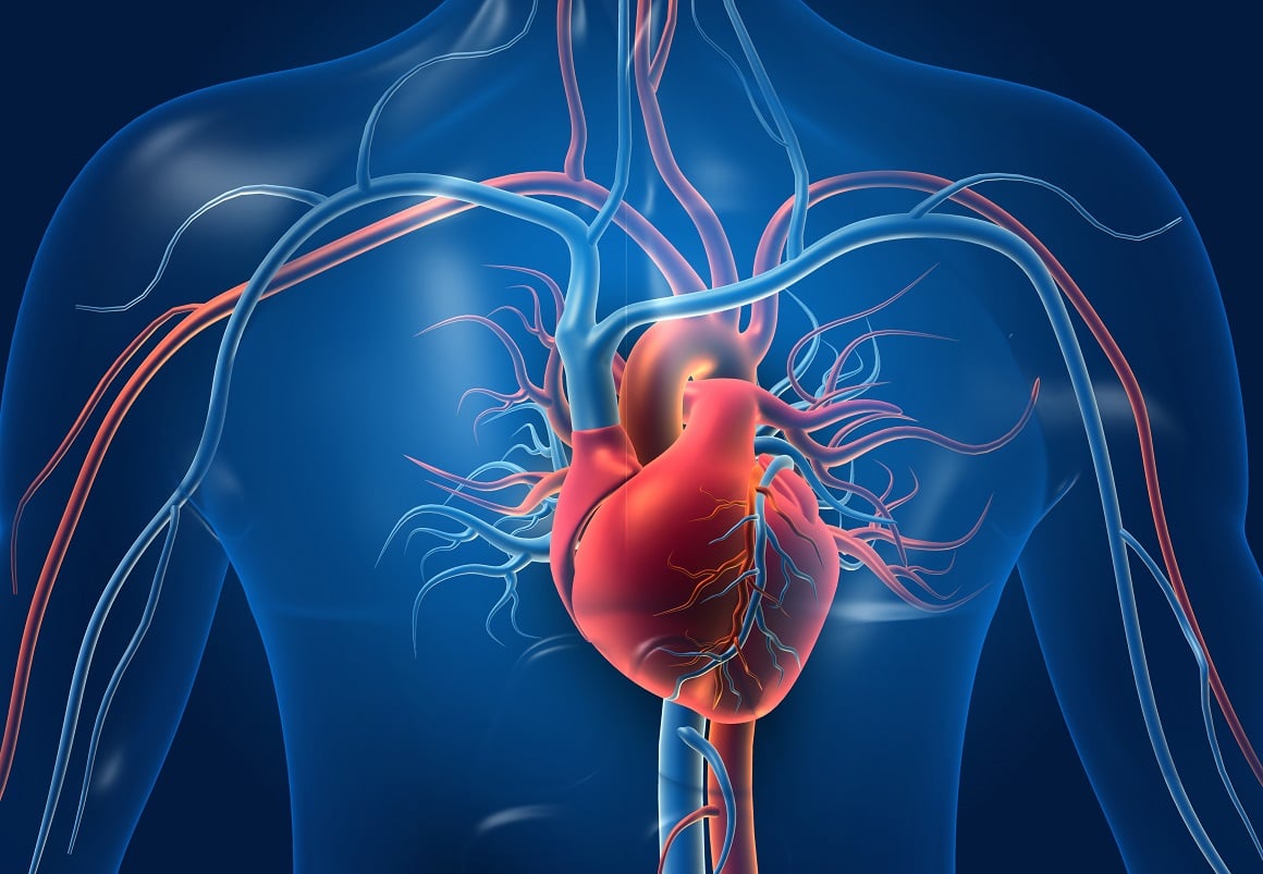 Zdravlje srca utječe na dugovječnost