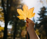 Jesenje lišće boji naše unutarnje živote
