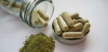 Ginkgo biloba