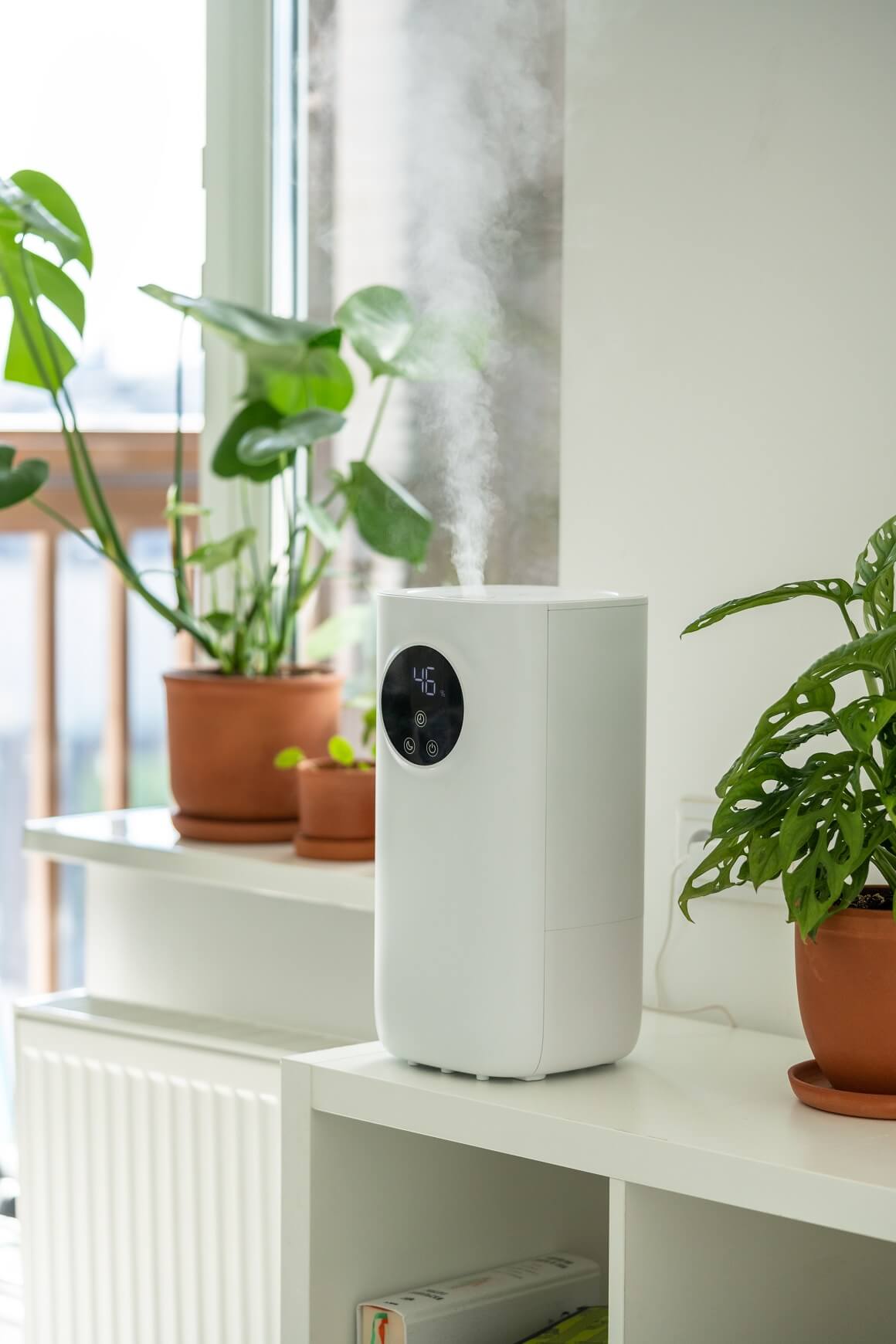 Razmislite o korištenju ovlaživača zraka kako biste održali optimalnu razinu vlažnosti u svojem domu