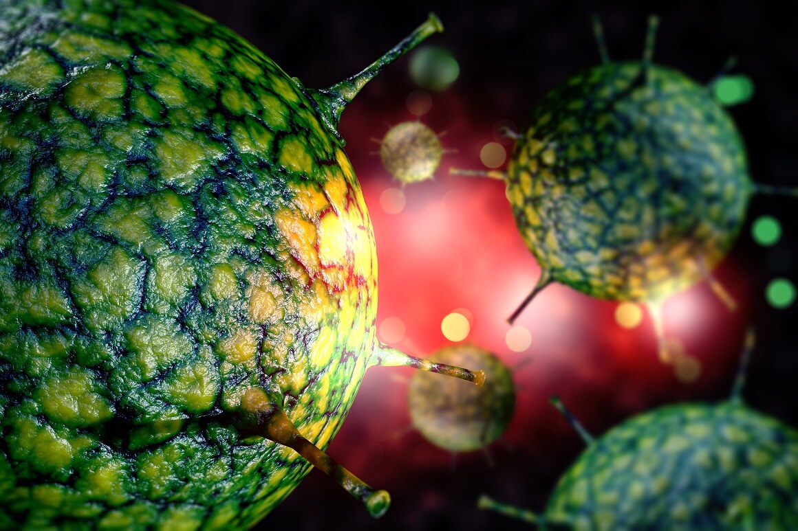 Rinovirusi, koji čine 10 – 40 % prehlada, vrlo su zarazni, ali općenito blagi