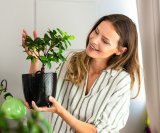 Kako održavati bonsai drvo