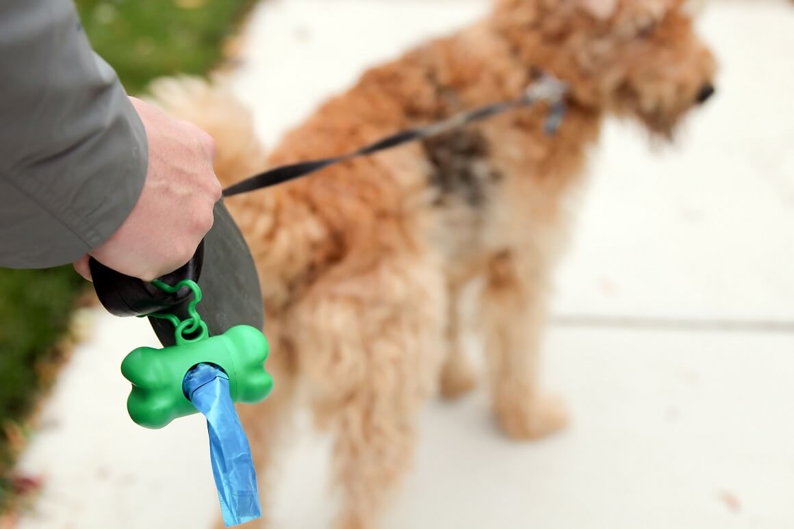 Studija naglašava važnost prakticiranja dobre higijene u interakciji sa psima