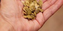 S 8,5 g proteina na 30 g, sjemenke bundeve su nutritivna grickalica bogata raznim mineralima