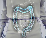 Zdravlje debelog crijeva