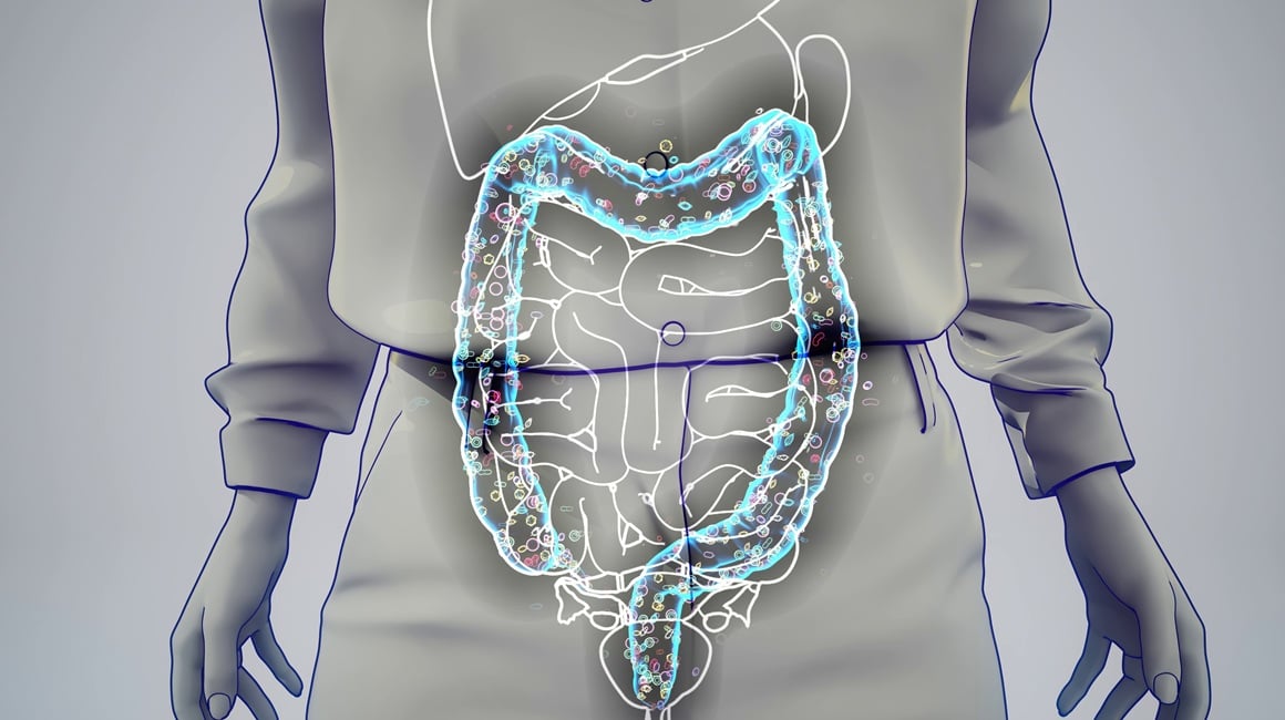 Zdravlje debelog crijeva