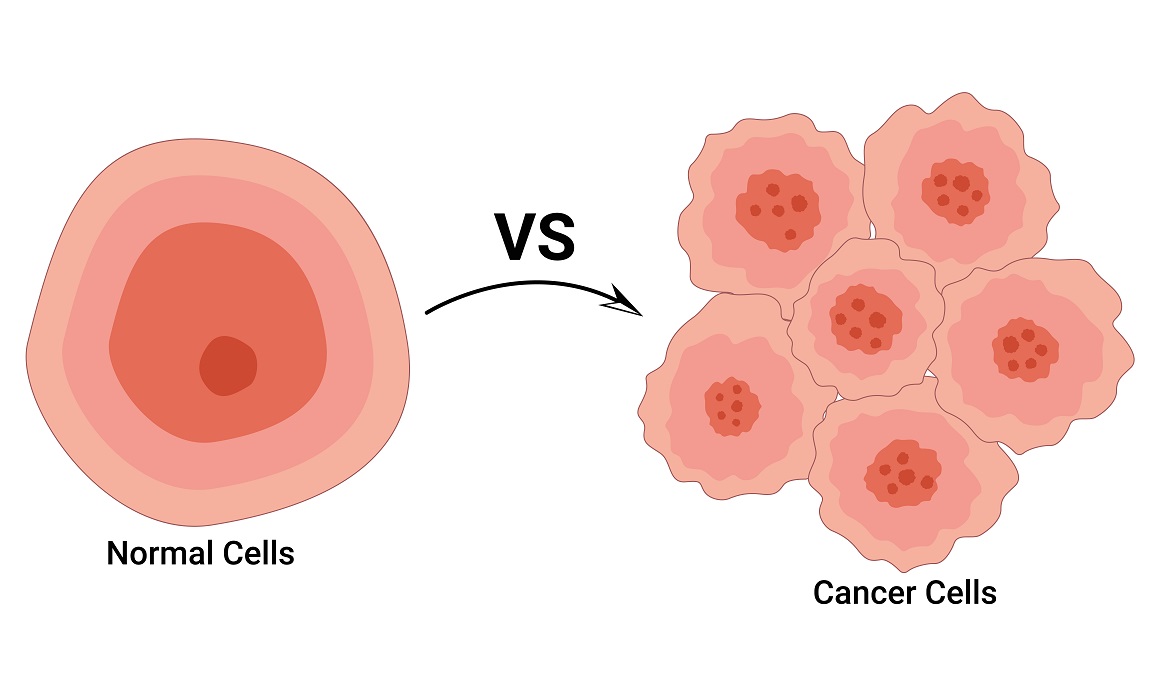 Stanice raka razlikuju se od normalnih stanica na mnogo načina
