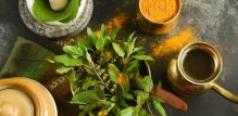 Tulsi je iznimno cijenjena ayurvedska biljka