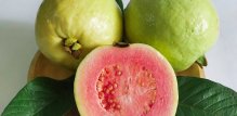 Guava 