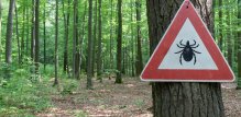 Krpeljni meningoencefalitis - cjepivo