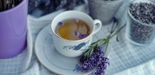 Lavanda (Lavandula angustifolia)