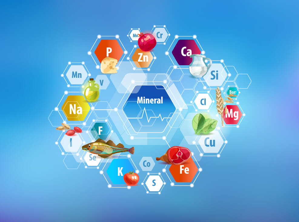 Makrominerali i mikrominerali