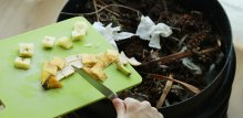 Praktični savjeti za korištenje kore od banane