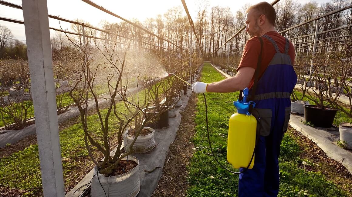 Poljoprivredni radnici i korisnici pesticida izloženi su većem riziku od razvoja plućnih problema