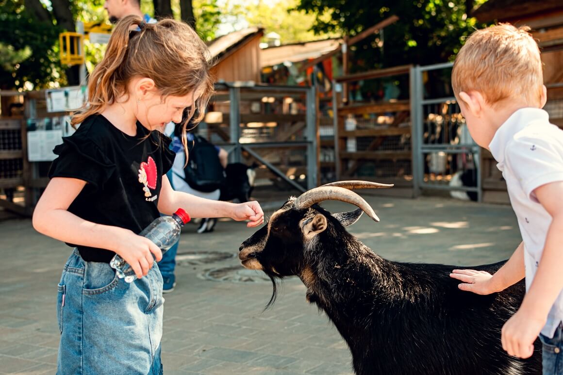 Zoološki vrtovi i akvariji edukativni su i omogućuju aktivnoj djeci da se kreću