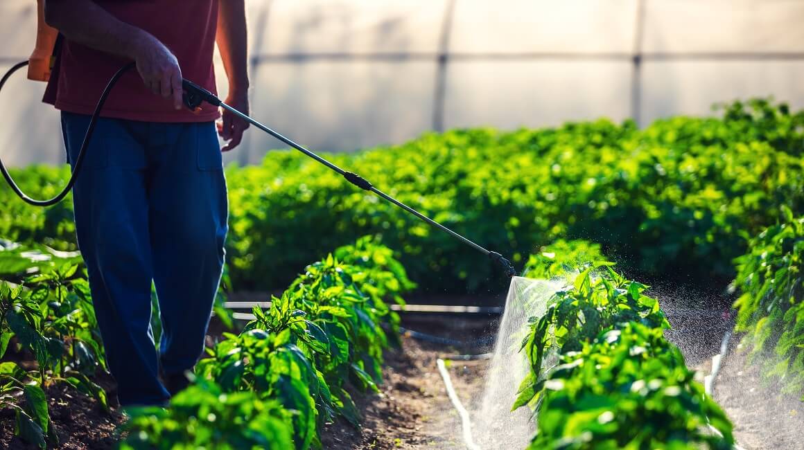 Pesticidi povećavaju rizik od šest vrsta raka