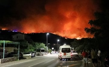 izloženost dimu požara utječe na mozak