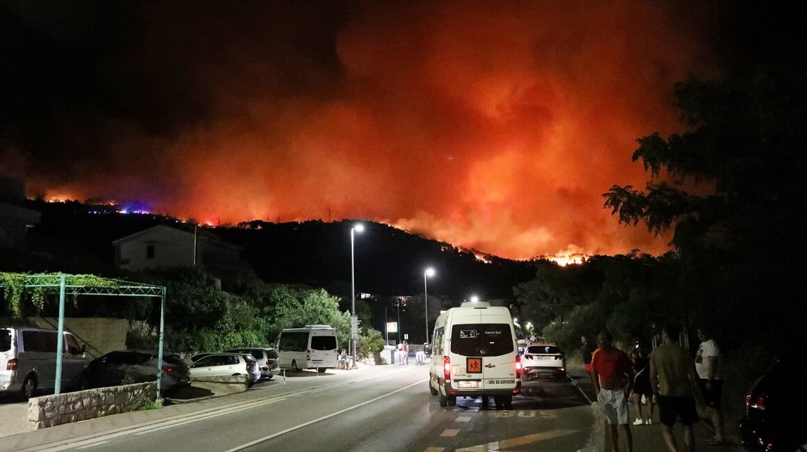 izloženost dimu požara utječe na mozak