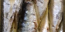 sardine su bogate omega-3 masnim kiselinama