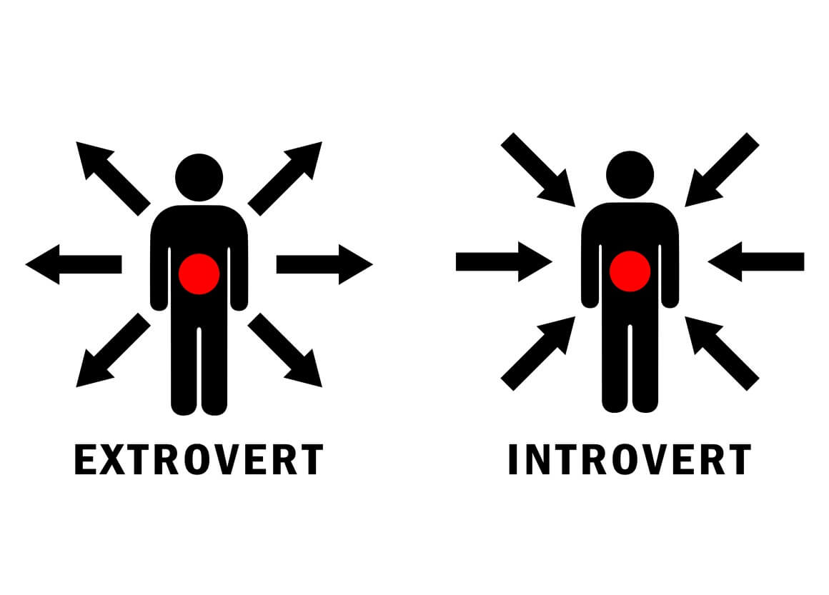 Ekstraverti i introverti