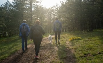 fitness aktivnosti u starijoj dobi