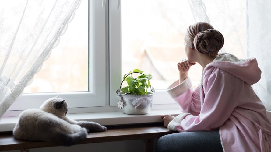 socioekonomski status četvrti može značajno utjecati na ishod bolesti poput raka dojke