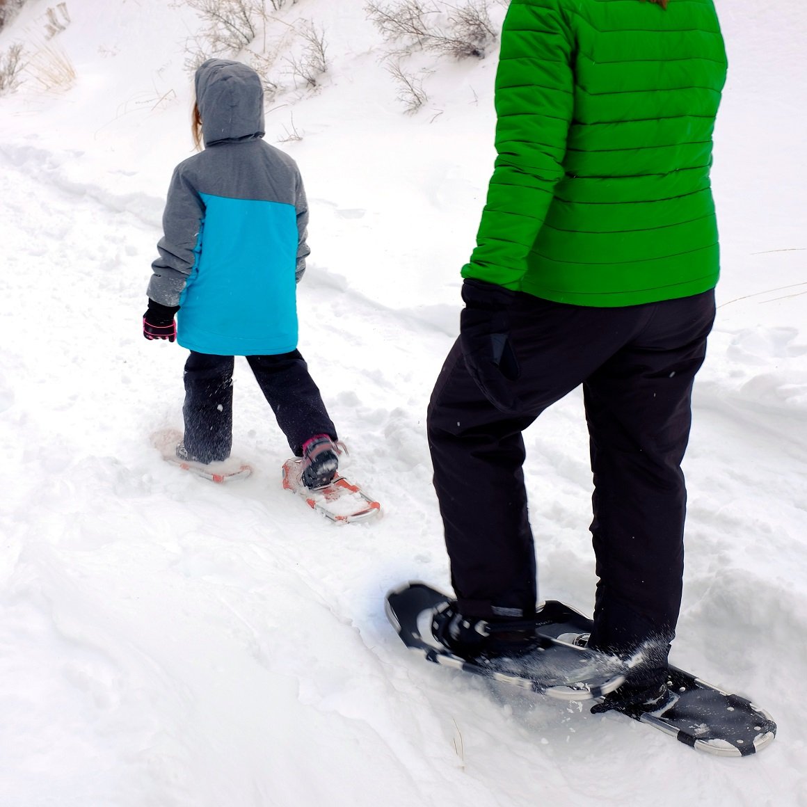 Snowshoeing