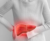 jetra igra ključnu ulogu u probavnom sustavu