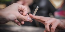 korisnici kanabisa mlađi od 50 godina imaju više od šest puta veći rizik od srčanog udara
