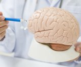 zdravlje mozga