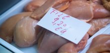 Piletina i puretina su dva široko konzumirana izvora proteina