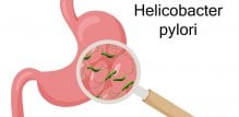 H. pylori je jedna od najčešćih bakterijskih infekcija kod ljudi