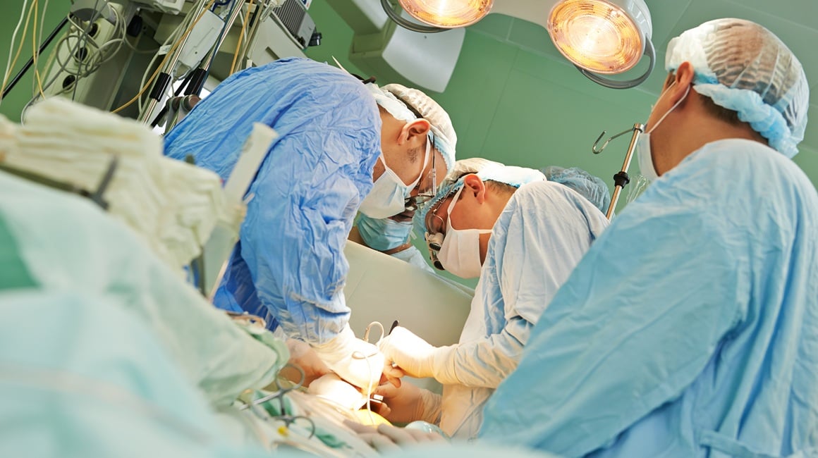 Organi koji se mogu transplantirati
