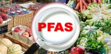 PFAS, poznate i kao vječne kemikalije, nalaze se u vodi, tlu, hrani i zraku