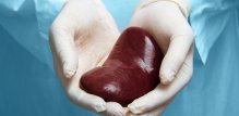 Presađivanje bubrega najčešća je transplantacija solidnog organa