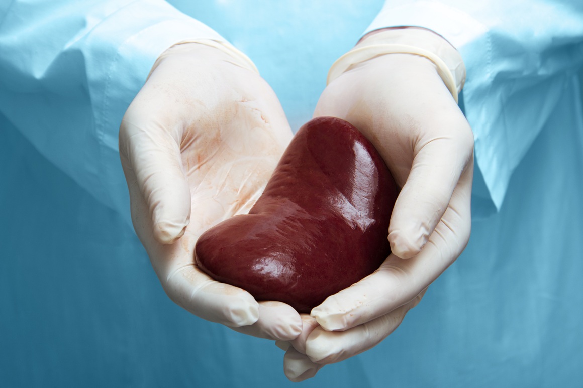 Presađivanje bubrega najčešća je transplantacija solidnog organa