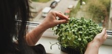 kontakt s tlom i prirodom smanjuje stres i potiče mindfulness
