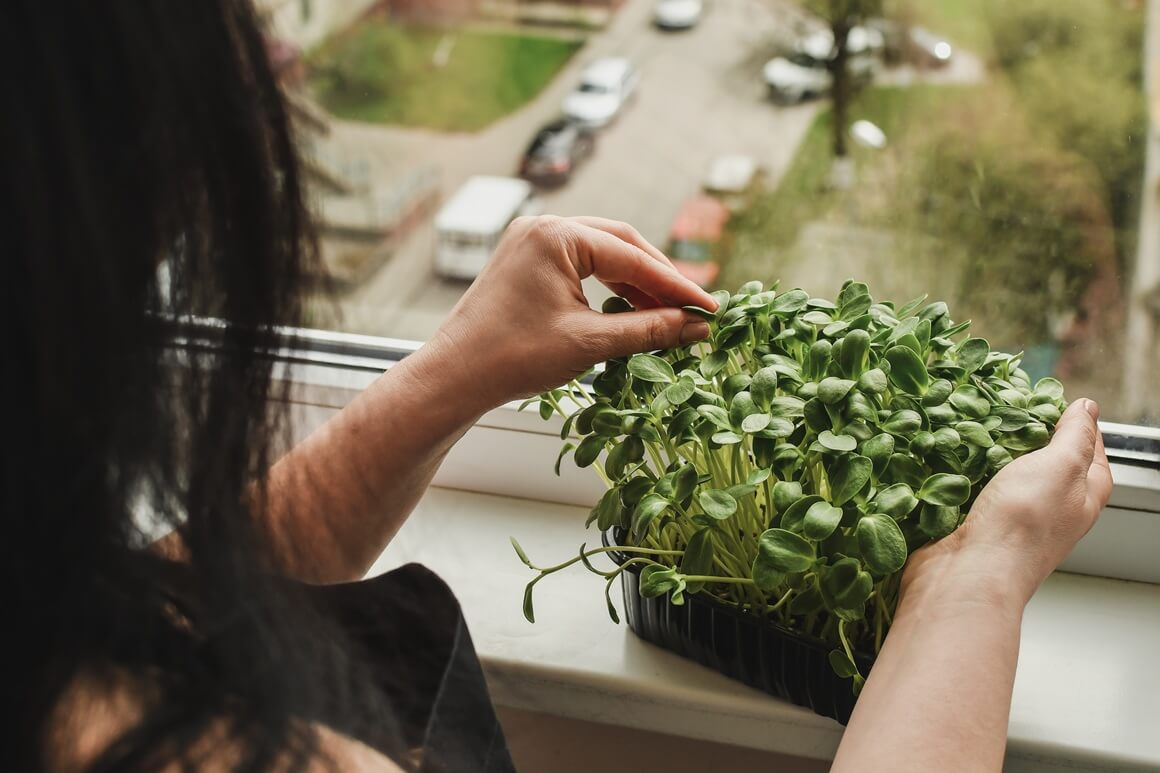 kontakt s tlom i prirodom smanjuje stres i potiče mindfulness