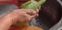 kukurbitacini u hrani mogu biti otrovni u većim količinama